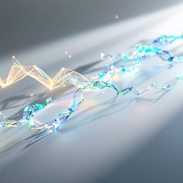 HMB Supplements: Muscle Preservation and Performance Enhancement